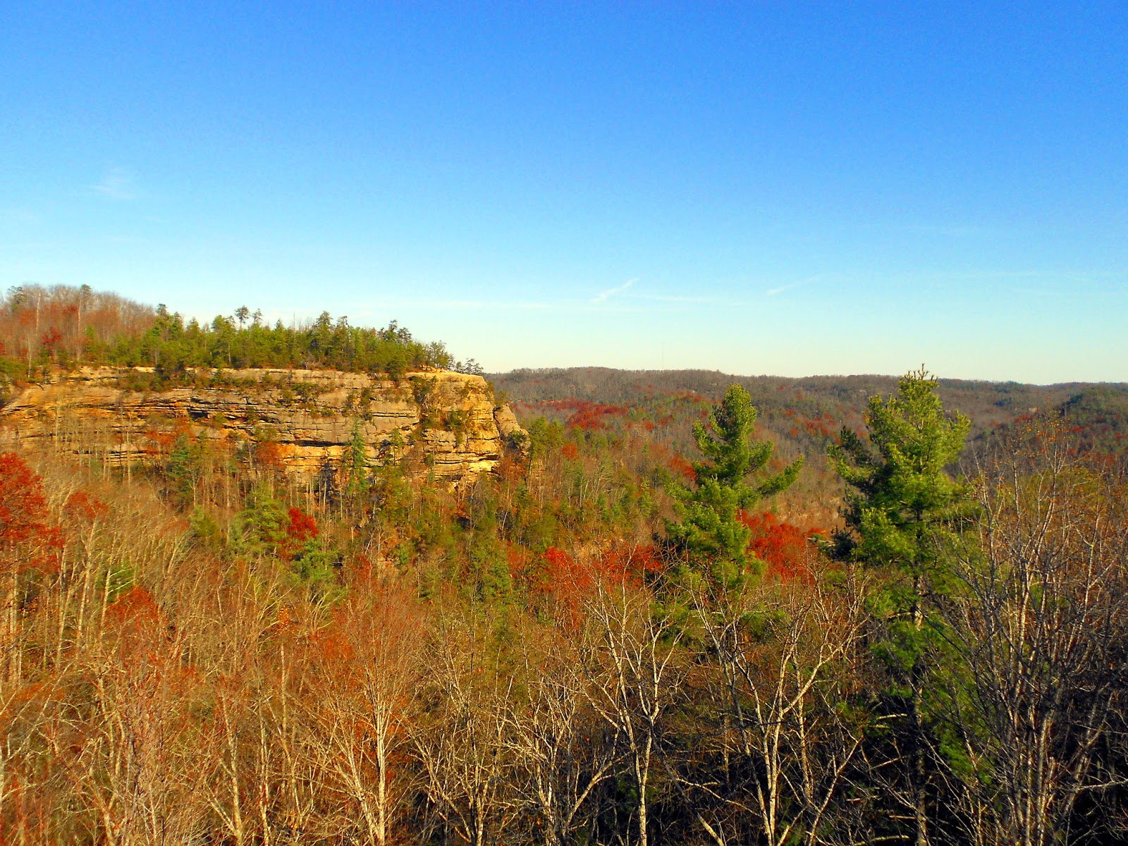 Red River Gorge & Natural Bridge